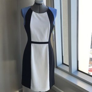 Chelsea Rose Dress. NWT